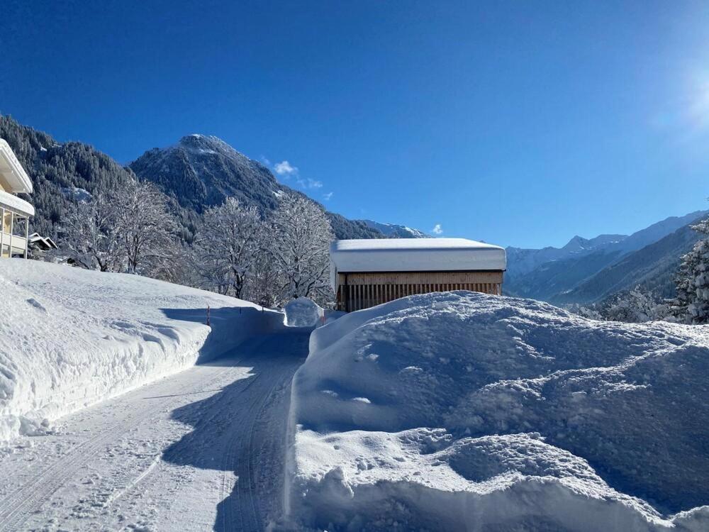 Haus Albuin Appartement Sankt Gallenkirch Buitenkant foto