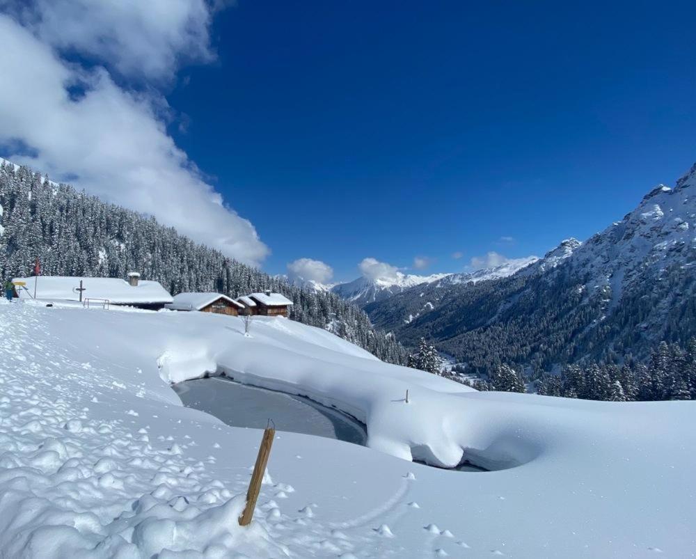Haus Albuin Appartement Sankt Gallenkirch Buitenkant foto